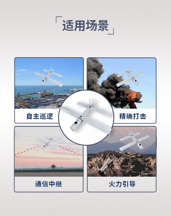 巡飛無(wú)人機(jī)xf03型(圖3)
