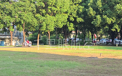 網(wǎng)捕穿越機(jī):空域安全的新守護(hù)者 網(wǎng)捕穿越機(jī):空域安全的新守護(hù)者