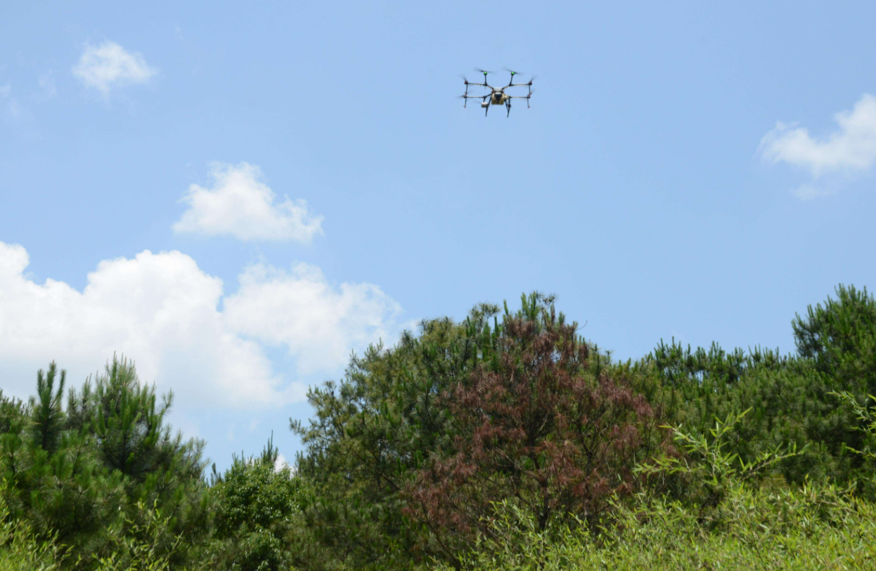 以蟲(chóng)治蟲(chóng) 三亞首用無(wú)人機(jī)釋放天敵防治害蟲(chóng)護(hù)航綠色農(nóng)業(yè)(圖1) 以蟲(chóng)治蟲(chóng) 三亞首用無(wú)人機(jī)釋放天敵防治害蟲(chóng)護(hù)航綠色農(nóng)業(yè)(圖1)