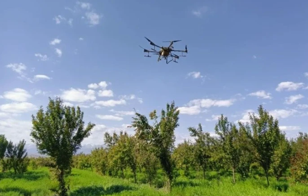 無人機助力山區(qū)產(chǎn)業(yè)增效、果農(nóng)增收(圖1)