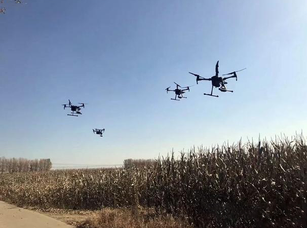 哈爾濱使用無人機監(jiān)控露天秸稈焚燒(圖1)