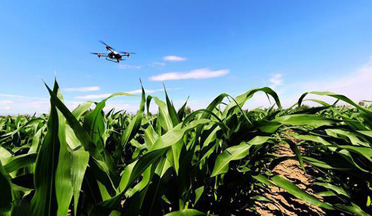 無人機技術(shù)在現(xiàn)代農(nóng)業(yè)領(lǐng)域的應(yīng)用與發(fā)展(圖5) 無人機技術(shù)在現(xiàn)代農(nóng)業(yè)領(lǐng)域的應(yīng)用與發(fā)展(圖5)