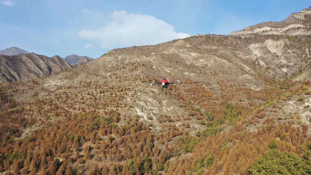 北京延慶首個(gè)無(wú)人機(jī)智能應(yīng)用場(chǎng)景投產(chǎn) 為森林防火再添“空中力量”(圖1)