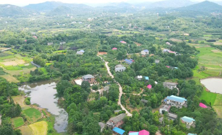 無(wú)人機(jī)助力長(zhǎng)沙市森林防火 筑牢城市森林防火安全線(圖1)