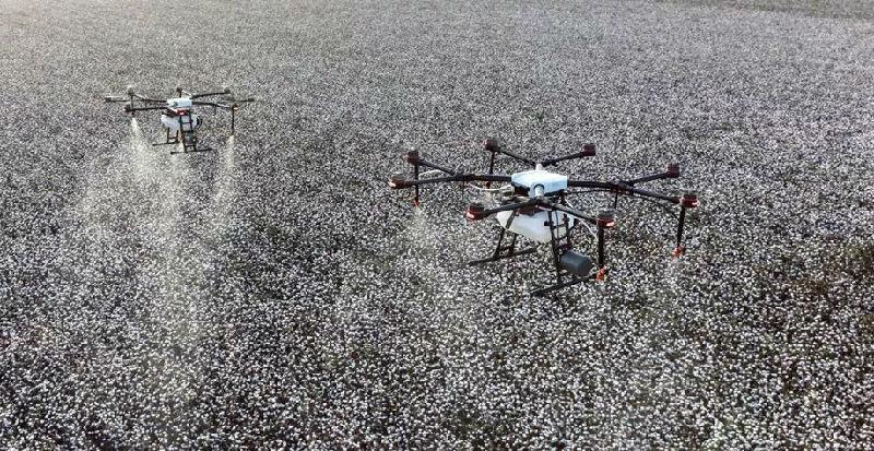 無人機(jī)植保給棉花打脫葉劑如何操作?(圖2) 植保無人機(jī)