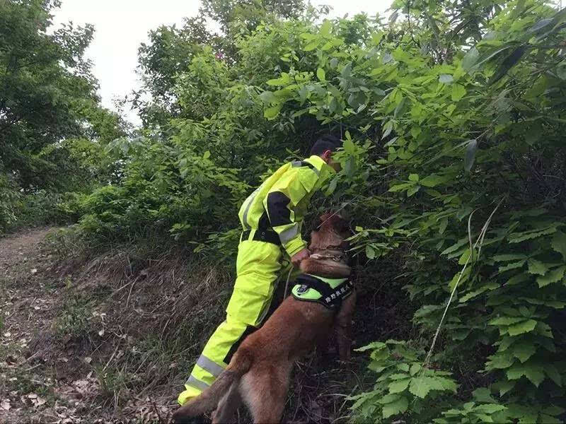 無人機(jī)精準(zhǔn)救援解救深山迷路游客(圖1) 無人機(jī)