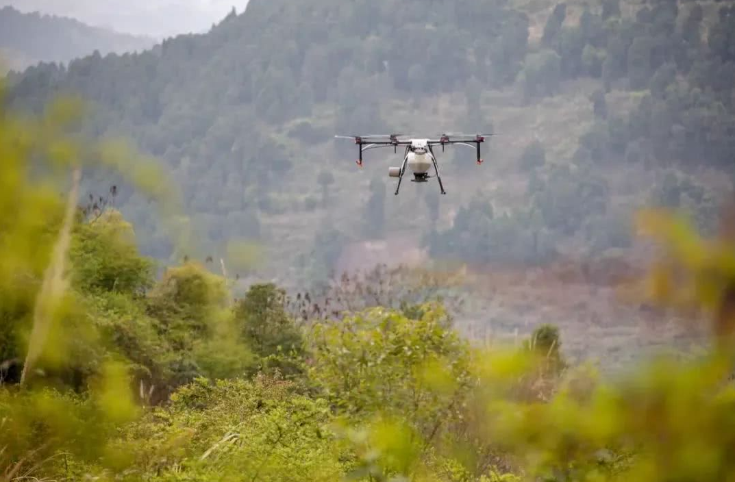 克羅地亞通過無人機(jī)播種修復(fù)被大火破壞的森林(圖1) 克羅地亞通過無人機(jī)播種修復(fù)被大火破壞的森林(圖1)